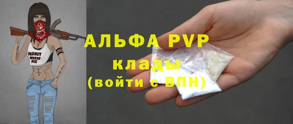 гашик Кулебаки