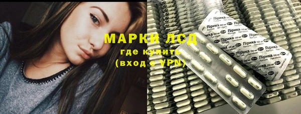 гашик Кулебаки