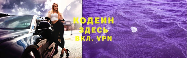 гашик Кулебаки