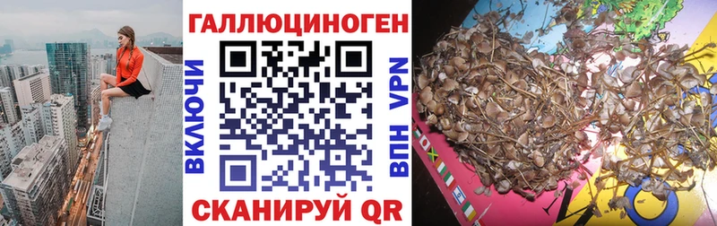 Галлюциногенные грибы GOLDEN TEACHER  Черноголовка 